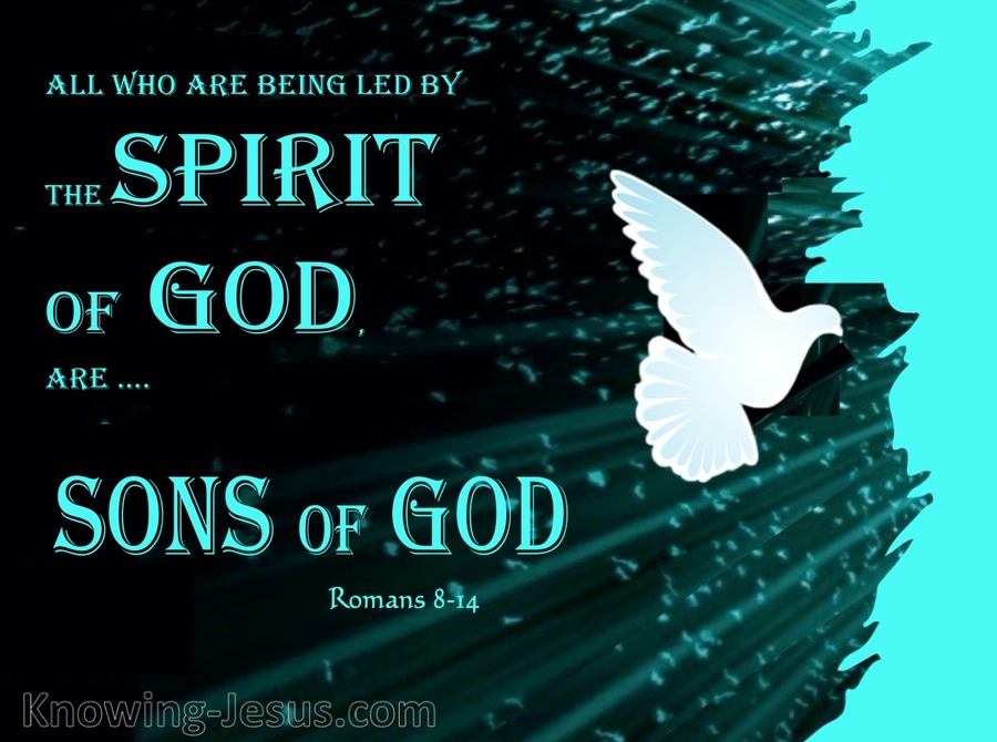 romans-8-14-those-led-by-the-spirit-are-sons-of-god-white